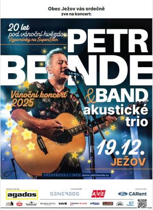 koncertní vystoupení